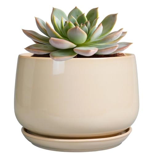 G EPGardening Ceramic Pot for Plants, 6 Inch Planter with Drainage, Beige - color: Beige, size: 5 Inch