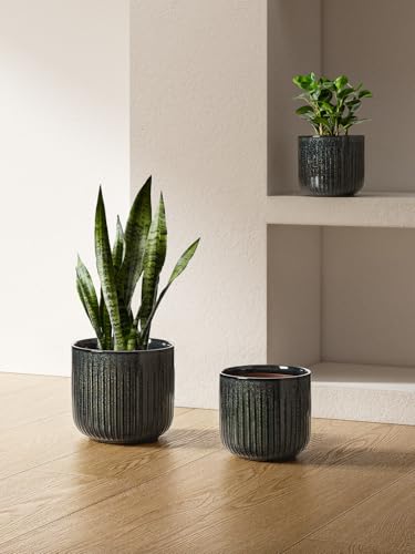 LE TAUCI Ceramic Pots for Plants, 8.3/7/6 Inch Indoor Planters with Drainage Holes & Mesh, Modern Glossy Glaze Cylinder Fluted Plant Pot for Snake Plant, Set of 3, Dark Olive - color: Dark Olive