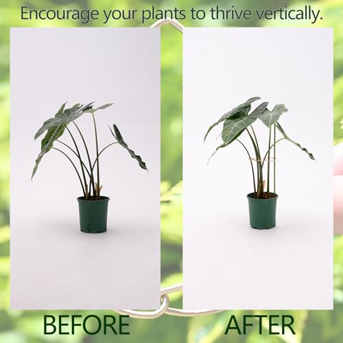 5PCS Monstera Stem Support Stake with Clip-5.5*4.7IN Stem Holder - size: 5.5 x 4.7 inches
