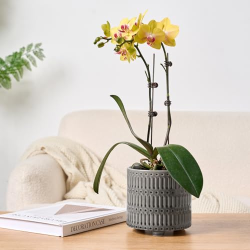 STHIE 5 Inch Ceramic Planters for Indoor Plants, Gray Snake Plant Pots - color: Reactive Glaze Grey