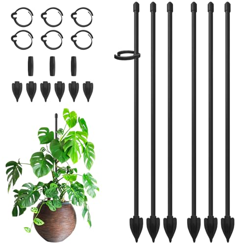 RIFNY Plant Stakes for Indoor Plants, Plant Support Stakes, 14 Inch - color: Black, size: 14IN 6PCS