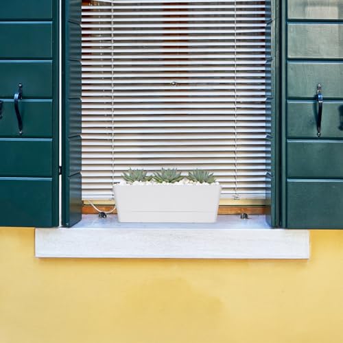 GREANER Long Window Boxes Planters, 6 Pack 16x3.8 Inch Vegetable Box Pot with Tray, Indoor Succulent Cactus Flowers Plastic Rectangle Pot for Balcony, Office, Garden, Outdoor, Windowsill - White - size: 6Packs/16x3.8in
