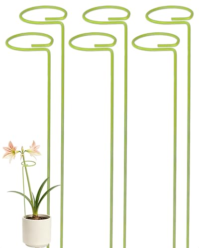 6-Pack Plant Support Stakes for Indoor Plants, Monstera Plant Support & Tall Sticks, Heavy Duty Adjustable 15.8-Inch Garden Stakes for Amaryllis, Snake Plant, Indoor Outdoor Use - size: 15.8-Inch, 6-Pack
