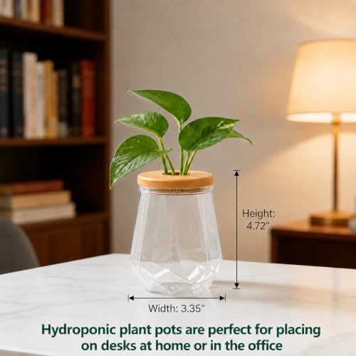 Desktop Plant Hydroponic Vases, Water Plant Jars, Gardening Gifts for Office and Home, Outdoor, Transparent Diamond Pattern - color: Transparent Diamond Pattern