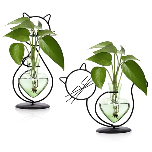 Plant Terrarium Propagation Station Gifts for Women Cat Lover - color: Green