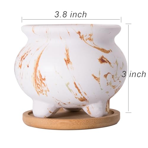 Succulent Pots, 3.8 Inch Small Plant Pot with Drainage Trays Set of 6 - color: Marble 3