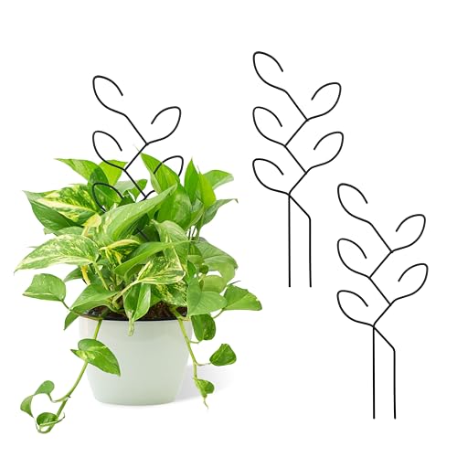2Pcs Metal Leaf Shape Garden Trellis for Climbing Plant Indoor - color: C