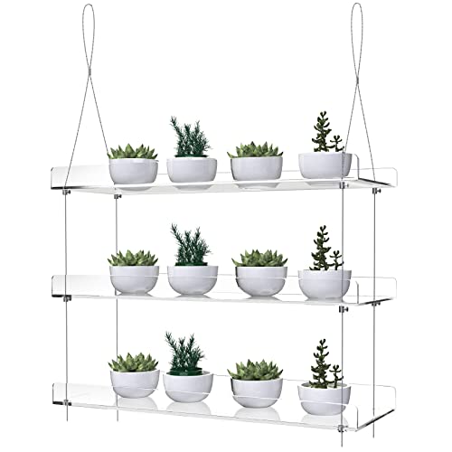3-Tier Hanging Acrylic Plant Shelves for Windows - color: 3 Tier
