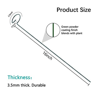Thealyn 20 Pack 16 Inch Plant Support Stakes, Metal Single stemmed Flower Support Hoops，Garden Plant Stakes Plant Prop for Amaryllis Orchid Lily Rose Peony Tomatoes Gladiolus