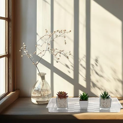 24 Pack Rectangular Plant Drip Trays, Clear Plastic Plant Saucers, Thick Plant Drip Trays Plastic Liners for Indoors Outdoors Flower Pots Window Sills Window Shelf - 15" x 6"