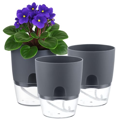 3 Pack Self Watering Pots for Indoor Plants, PlanterHoma 6 Inch Plant Pot Plastic Self Watering Planter for Orchid, African Violet, Small Clear Flower Pots with Drainage Holes and Wicking Rope, Grey - color: Gray, size: 3 Pack (6 In)