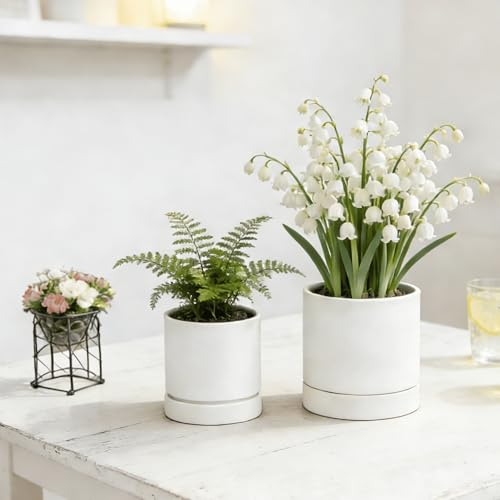 2pcs Plant pots, self Watering pots for Indoor Plants (White, 4.7in+6in) - color: White, size: 4.7in+6in