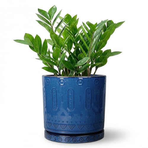 Eightpot 8 Inch Planter, Ceramic Plant Pots with Drainage Hole and Tray, Round Flower Pots for Indoor Plants Outdoor, Boho Planter, Decorative Pot for Plants, Plant Lover Gifts, House Decor, Blue - color: Blue - 2, size: 8 Inch