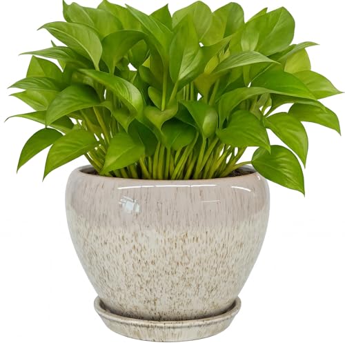 Deep Dream 6 Inch Plant Pots- Ceramic Planter Pot with Drainage Hole and Saucer, Round Flower Pot for Indoor Outdoor Succulent, Snake Plants and Cactus, Beige - color: Beige, size: 6 Inch