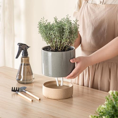 6 Inch Ceramic Self Watering Planter with Drainage Hole, Dark Grey - color: Darkgrey, size: Small