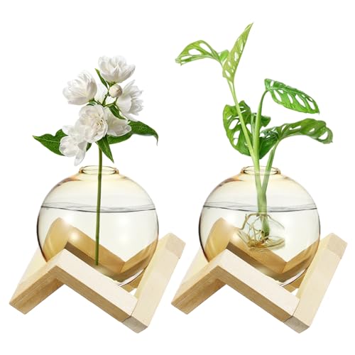 M METERXITY 2 Pack Glass Planter Terrarium with Wooden Stand, Desktop Plant Propagation Station Bulb Vase for Hydroponic Plants Propagation/Home Garden Decor/Plant Lover [Yellow] - color: Yellow