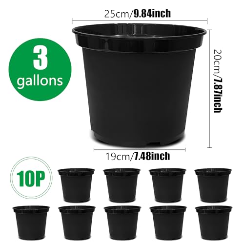 RooTrimmer 3 Gallon Plastic Nursery Pots, 10 Inch Round Plant Pots with Drainage Holes, 10 Pack Planting Pot for Outdoor Indoor Plants, Gardening Gifts for Women, Black - size: 3Gallon-10P-Black