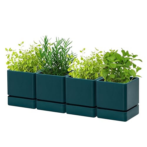 D'vine Dev 4-Pack Plastic Herb Planter Pots, 4 in, Green, 76-Y-C-1 - color: Green, size: 16 Inch x 4.5 Inch