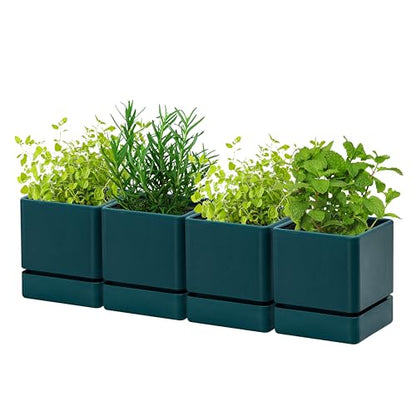 D'vine Dev 4-Pack Plastic Herb Planter Pots, 4 in, Green, 76-Y-C-1 - color: Green, size: 16 Inch x 4.5 Inch