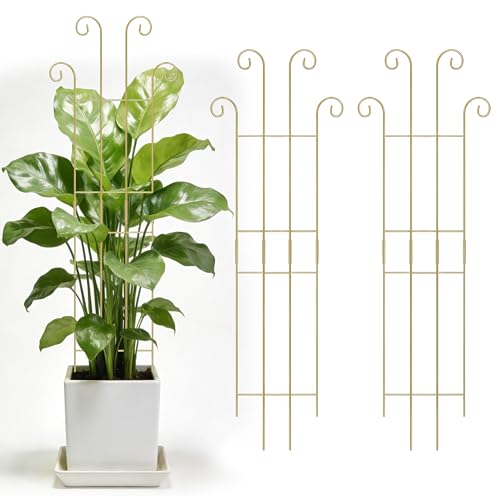 3 Set Tall Trellis for Potted Plants Indoor, 32'' Expandable Garden Metal Trellis for Climbing Plants Outdoor, Monstera Plant Support for Hoya, Vine, Ivy Pothos (Gold) - color: Gold