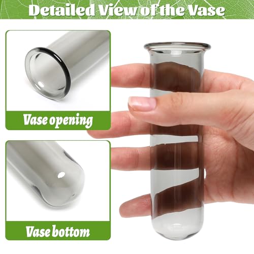 Glass Plant Propagation Station with 5 Test Tubes Colorful Planter Vase - color: Gray