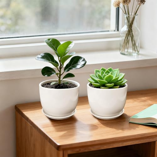 Ceramic Plant Pots, White, 5.5 Inch, 4 Pack - size: 5.5 Inch 4 Pcs
