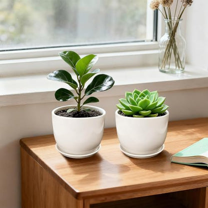 Ceramic Plant Pots, White, 5.5 Inch, 4 Pack - size: 5.5 Inch 4 Pcs