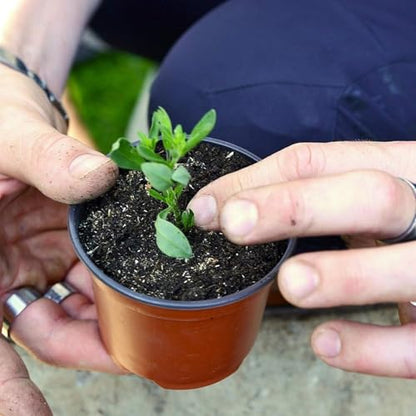 100 PCS Plastic Nursery Pots 4 Inch - style: 4 Inch