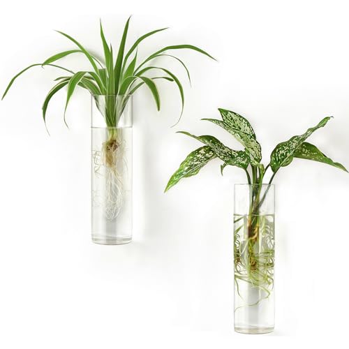 Mkono Wall Hanging Vases, 2 Pack Glass Propagation Stations Flower Planter