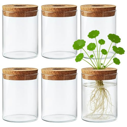 6 Pcs Propagation Vases for Plants, Cylinder Glass Vases with Cork Stopper