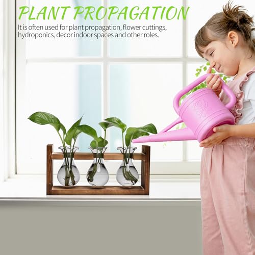 Plant Propagation Station Plant Terrarium Unique Birthday Gifts for Women - color: Gray