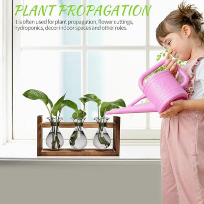 Plant Propagation Station Plant Terrarium Unique Birthday Gifts for Women - color: Gray