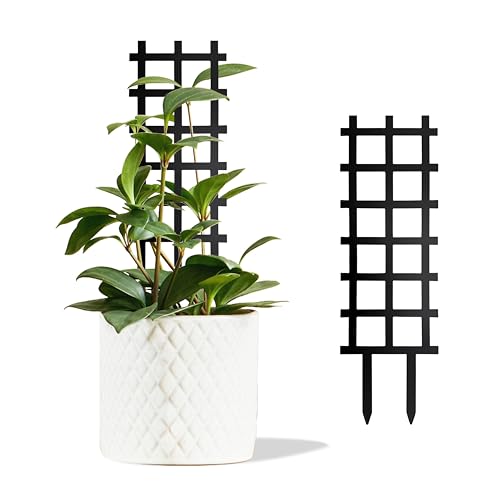 Metal Ladder Indoor Plant Trellis,14.96 inch for Climbing Plants Indoor - color: Ladder