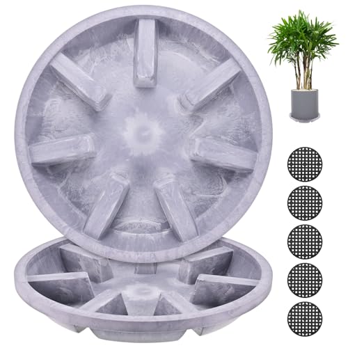 M METERXITY 2-Pack Plant Saucer, 10.04 Inch/25.5 cm Plastic Plant Trays Thicker for Pots/Indoor/Outdoor/Water Drainage and Protection, Flowerpot Drip Tray [Purple Veins] - color: Purple Veins