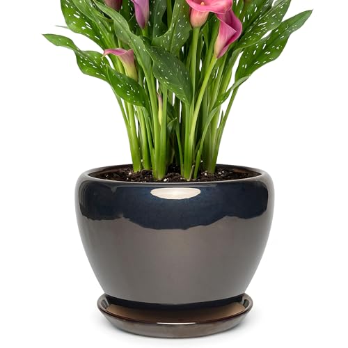 9.5 Inch Ceramic Plant Pot with Drainage Hole Mesh Net,Modern Gardening Pots for Indoor Plants with Saucer, Black - color: Black, size: 9.5 Inch