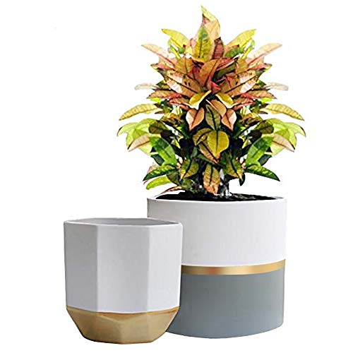 LA Jolie Muse Ceramic Flower Pots, 6.7 & 5.4 Inch Indoor Plant Pot Set of 2 - color: 6.7"+6.7"-white Gold Grey