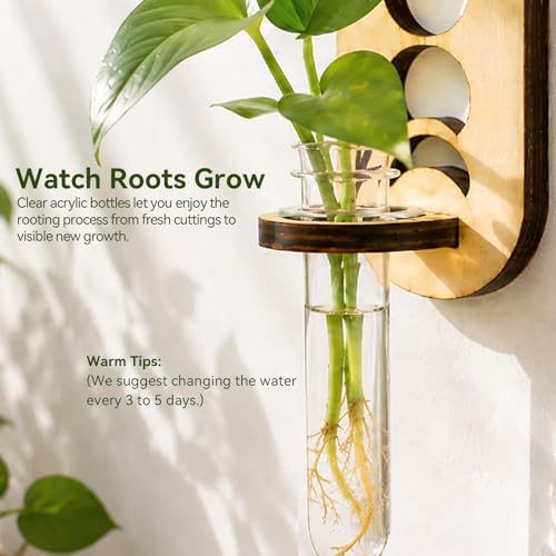 Artilady Plant Propagation Station Wall Hanging, Planter Terrariums Tube - color: Moon phase