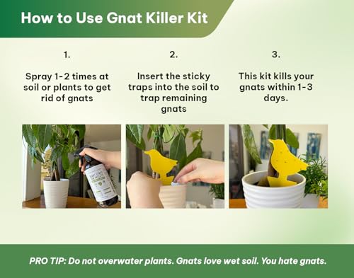 Kate's Home & Garden Plant Spray for Insects & Gnats, 12 Sticky Traps, 16oz - size: 16 Fl Oz (Pack of 1)