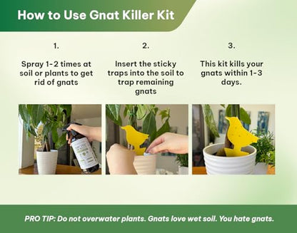 Kate's Home & Garden Plant Spray for Insects & Gnats, 12 Sticky Traps, 16oz - size: 16 Fl Oz (Pack of 1)