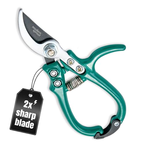 Modern Sprout Bypass Hand Pruners - Scissors - Gardening Tools - Ocean - color: Ocean