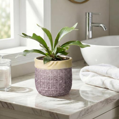 6 Inch Planter, Ceramic Pots for Plants, Round Flower Pots, Purple - color: Purple, size: 6 Inch