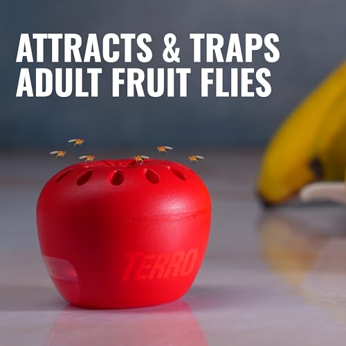 TERRO Fruit Fly Trap 4-Pack, 180 Day Lure Supply, Food-Based Lure - size: 4 Traps