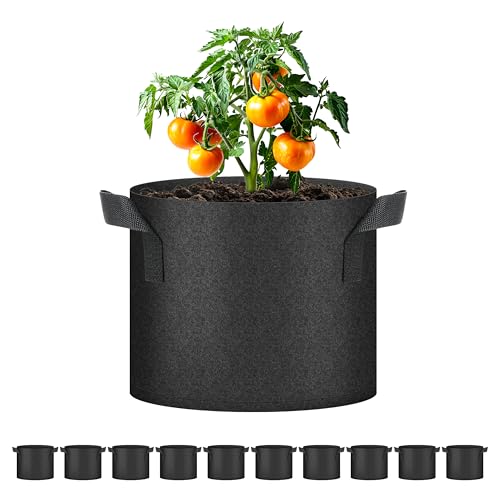 Simple Deluxe Grow Bags 5 Gallon 10 Pack Planter Pots with Handles, Thickened Nonwoven Fabric Aeration Cloth Bag, Heavy Duty Gardening for Tomoato, Potato, Vegetable, Herbs and Flowers, Black - color: 10 Pack, size: 5 Gallon 2025Version