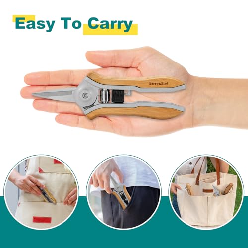 Berry&Bird Mini Pruning Shears for Gardening Straight Blades Hand Pruners with Wooden Handle Garden Scissors Snips Stainless Steel Trimming Small Clippers Bonsai Compact Size Shearing Tool - style: 6'' Straight Blade Scissors