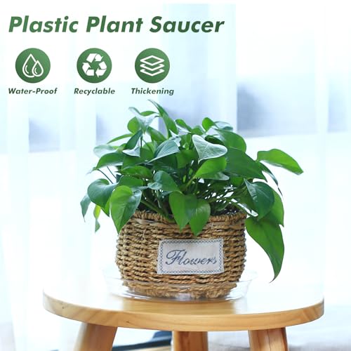 100 Pack 6 Inch Plant Saucer Clear Plant Saucers for Indoors Flower Pot Saucers Small Plants Plate Dish Succulent Pot Saucer Plants Trays for Pots Bulk Plastic Tray for Flower Cactus Nursery Pots - color: Clear, size: 6 inch: 100 pcs