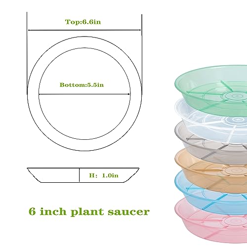 6 Pack 6 inch Plant Saucer Drip Tray, 4 5 6 8 9 10 12 14 16 18 inch, Heavy Sturdy Plastic Planter Flower Pot Saucers for Indoor Outdoor Garden, Plant Water Drip Trays for pots Base (6", Clear) - color: Clear, size: 6" - 6Pcs
