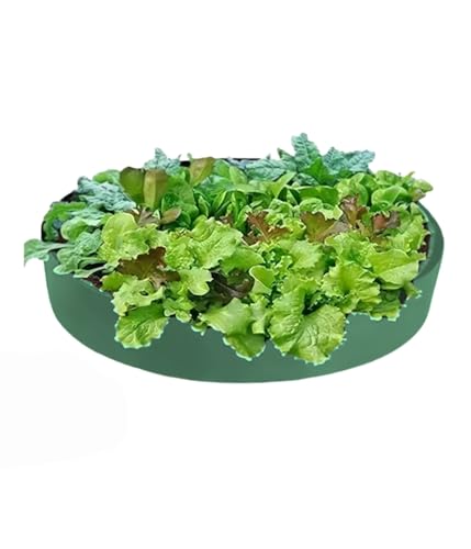 Plant Grow Pot 10 Gallons Fabric Raised Garden Planting Bed Breathable Garden Grow Bags Planting Container Planter Pot for Plants, Herbs, Flowers, Vegetables（4 Black Fertilizer Boxes）