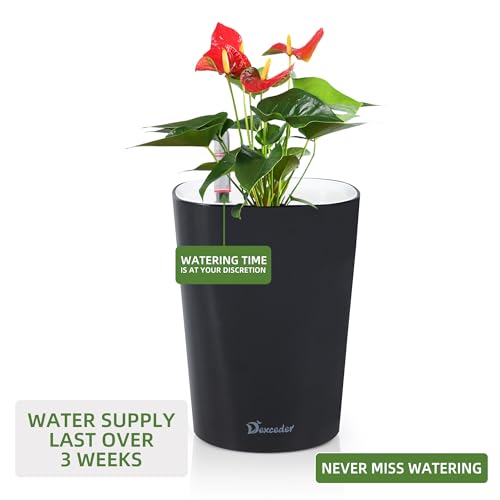 Dexceder 6x7 Self Watering Planter (Black) - color: Black