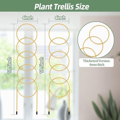 17.5 inch Small Trellis for Potted Plants, Metal Plant Trellis Indoor - color: Golden-Metal