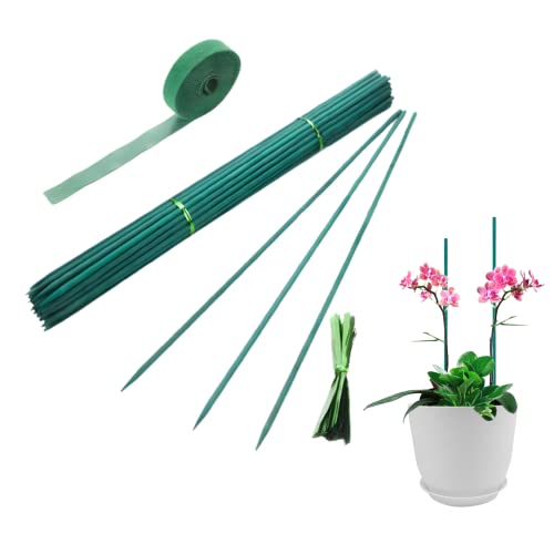 30Pcs 16 Inch Garden Stakes Bamboo Sticks Decorative Garden Wood Stakes for Plants, Wooden Plant Support Sticks, Small Stakes for Garden with Garden Ties and Nylon Plant Tie Strap
